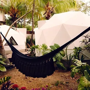  Hotel Frequency Mexico